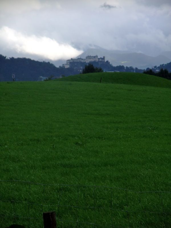c0167813_357790.jpg