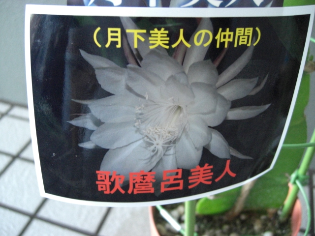 f0226713_16363721.jpg