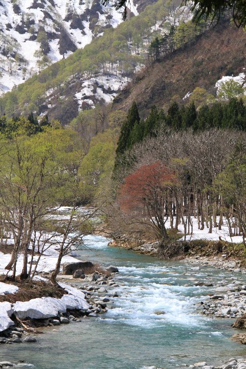 早春の風景..._a0032015_9304773.jpg