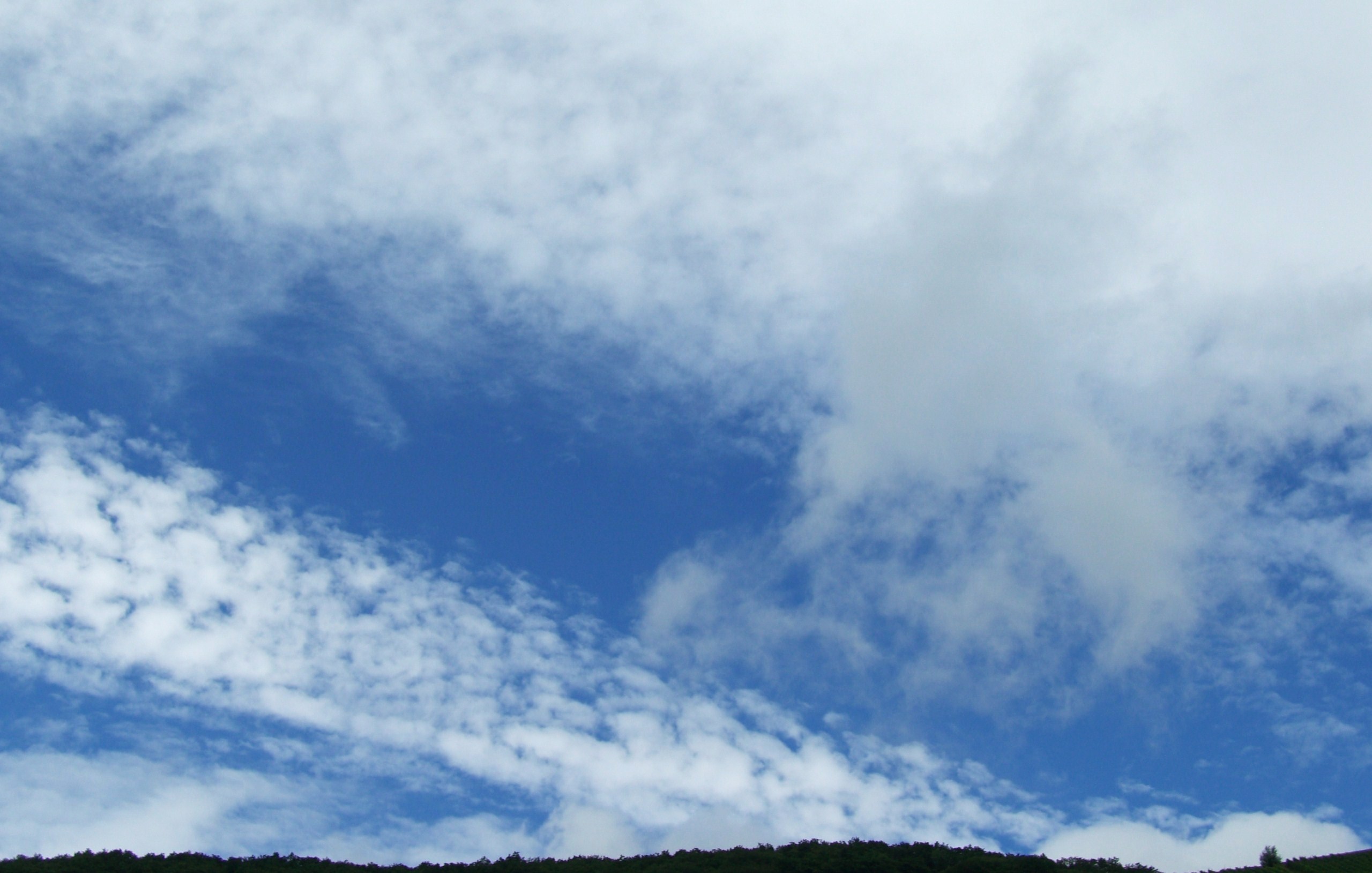 b0201617_6364863.jpg
