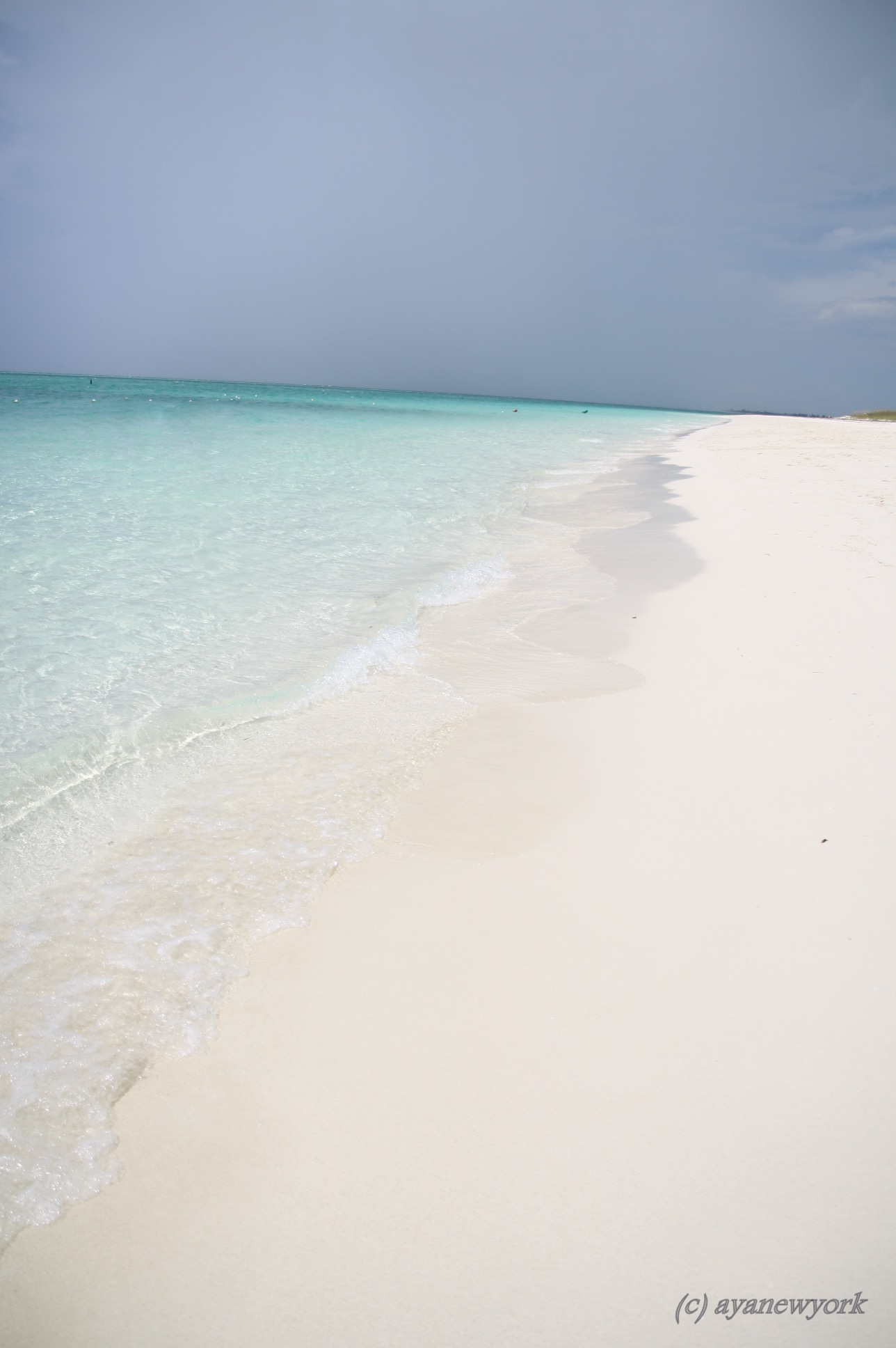 f0155318_2281465.jpg