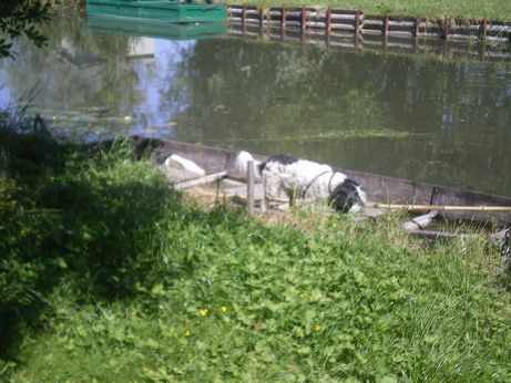 c0124619_342425.jpg