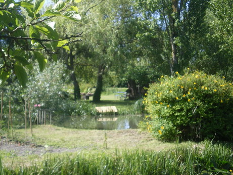 c0124619_355325.jpg