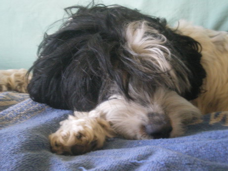 c0124619_39252.jpg