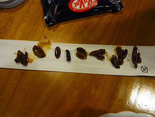 スズメバチを食うの?_b0150120_1035791.jpg