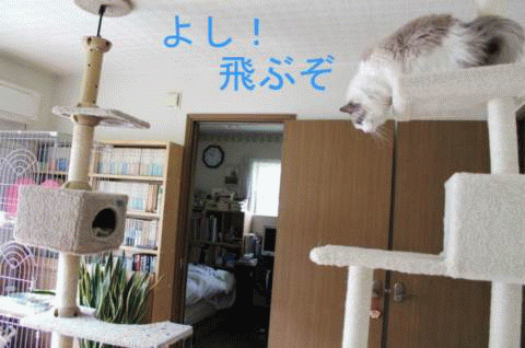 e0214720_16401190.gif