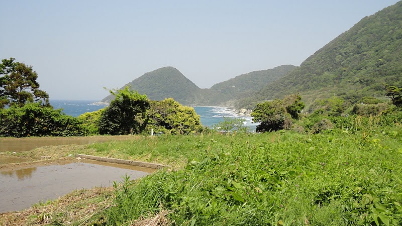 f0142721_21523052.jpg