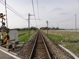 d0148223_21242914.jpg