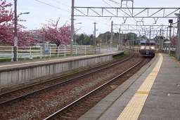 d0148223_212615.jpg
