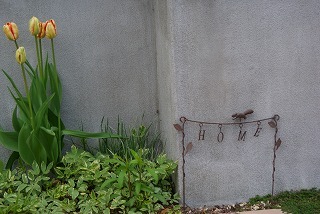 f0170524_16384319.jpg