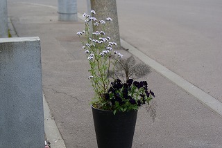 f0170524_16405085.jpg
