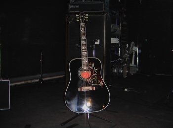 ハミングバード B&Bプレート 黒壺 旧ロゴ 現代的なスペックで