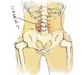 腰がちょっと・・_d0190828_61321.gif