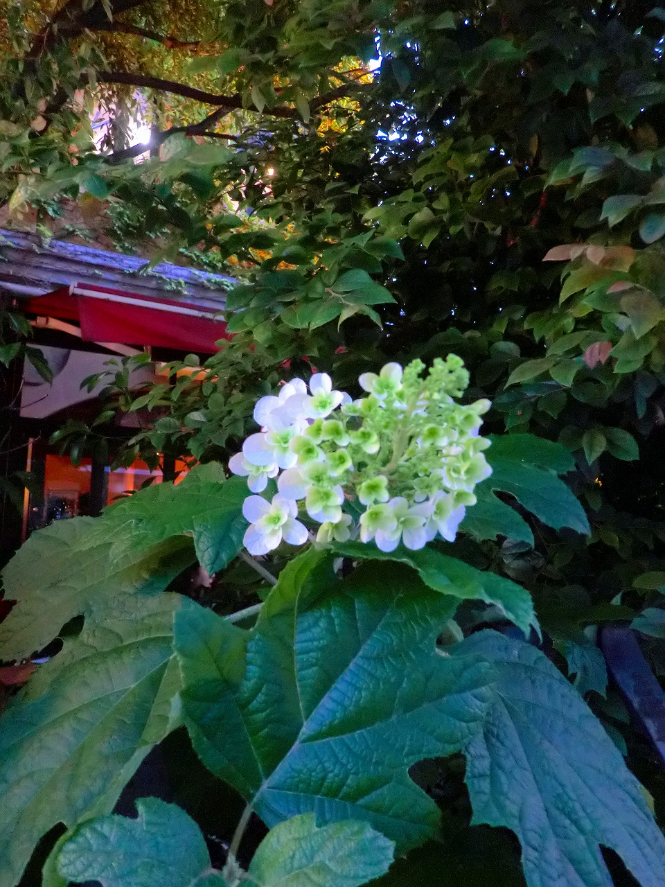 a0148431_2235958.jpg