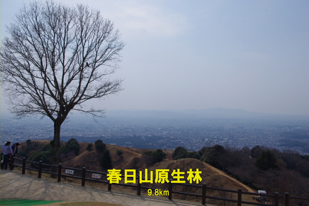c0113733_0383750.jpg