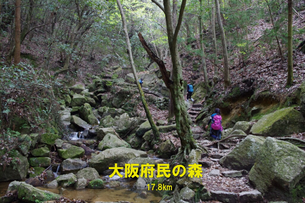 c0113733_0404928.jpg