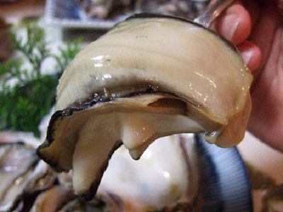 /// ６月のお勧め食材は、鳥取県産岩牡蠣「夏輝」です ///_f0112434_18474129.jpg