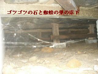 白蟻消毒・・開口部追加_f0031037_1913619.jpg