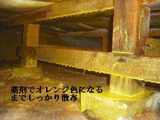 白蟻消毒・・開口部追加_f0031037_192126.jpg