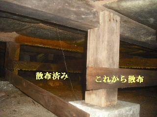 白蟻消毒・・開口部追加_f0031037_1922655.jpg
