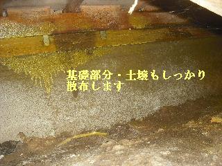 白蟻消毒・・開口部追加_f0031037_19237.jpg