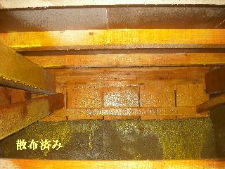 白蟻消毒・・開口部追加_f0031037_1924195.jpg