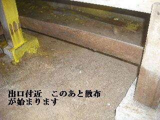 白蟻消毒・・開口部追加_f0031037_1925556.jpg