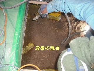 白蟻消毒・・開口部追加_f0031037_193352.jpg