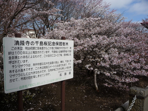 春 ・ ・ ・ かな?(根室より) 5月24日_f0113639_16252659.jpg