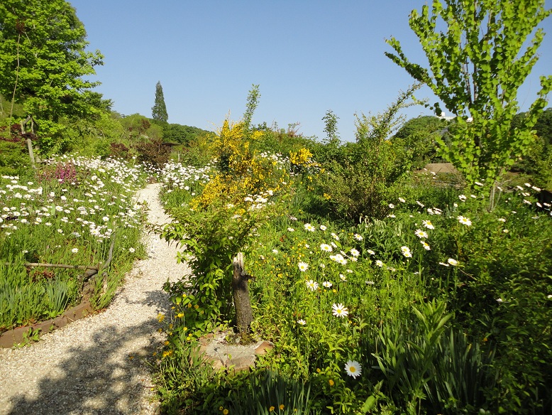 ターシャの庭　花フェスタ記念公園にて_e0057640_2213350.jpg