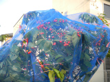 c0153044_13553639.jpg