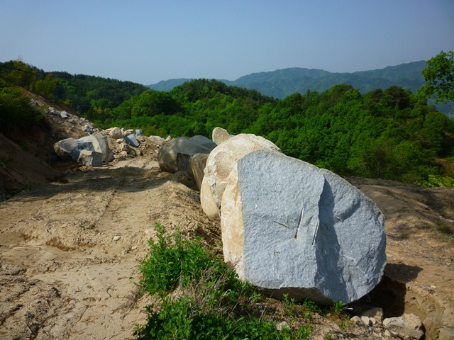 e0118846_66316.jpg
