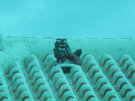 f0128146_161567.jpg