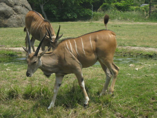 c0177951_16111761.jpg
