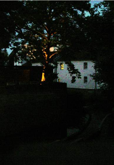d0047851_831163.jpg
