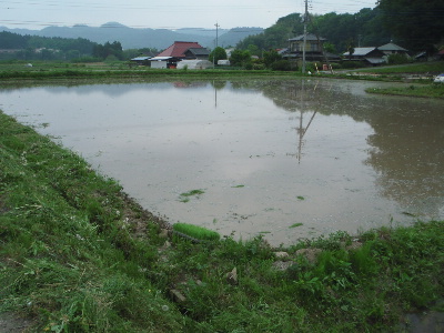 田植え・・・酒浸りの一日_f0193752_342313.jpg