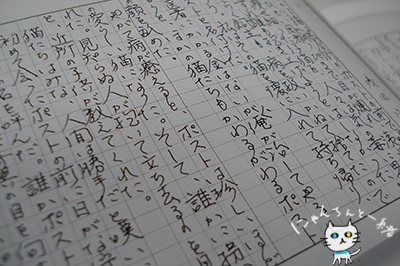 『民子』とにゃんちん_e0031853_21594053.jpg