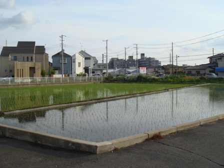 f0046854_20562511.jpg