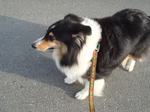 f0046854_2057825.jpg
