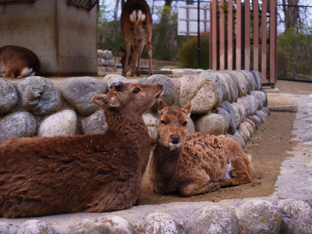 park（松本・アルプス公園）_e0223456_9302023.jpg