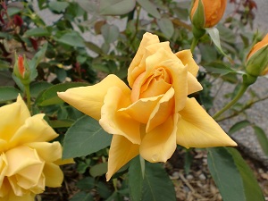b0197857_19351638.jpg
