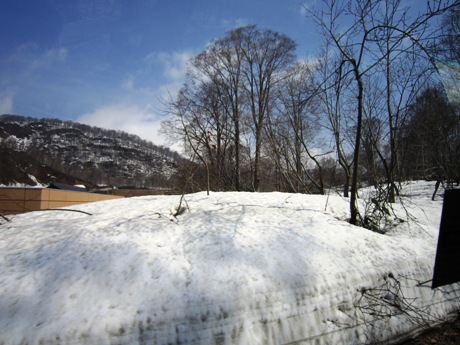 c0127460_1742090.jpg