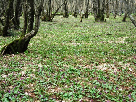 c0127460_1781684.jpg
