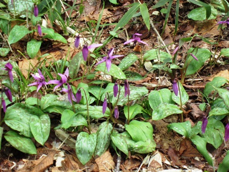 c0127460_178361.jpg