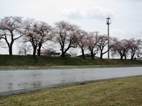 c0127460_181015100.jpg