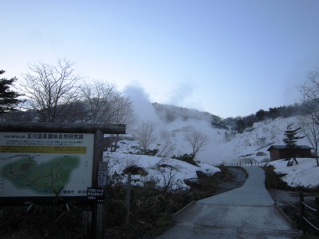 玉川・２０１１・春　～２日目・前編～_c0127460_187194.jpg