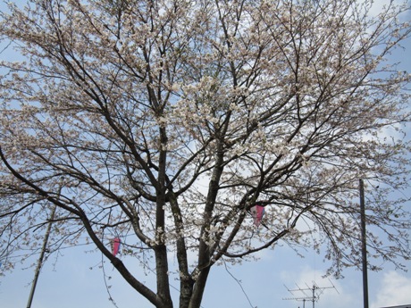 c0127460_1895210.jpg