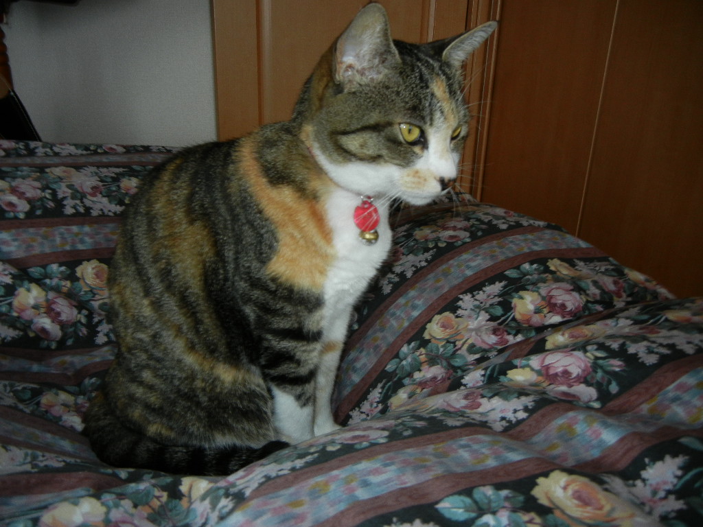 2011年5月24日(火)雨の日には俳句を作ろう!_f0060461_21414668.jpg