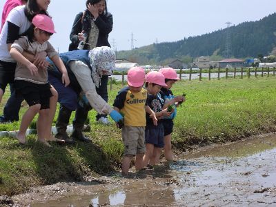 田植え_e0091871_12535323.jpg