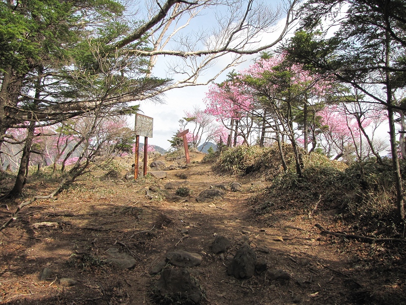 5月22日（日）　袈裟丸山♪_a0191674_13511119.jpg